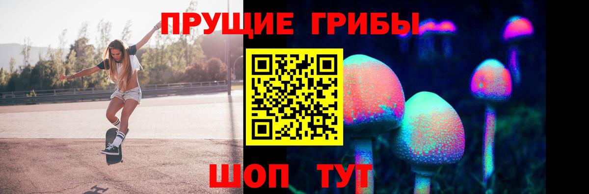 Галлюциногенные грибы Cubensis Рославль